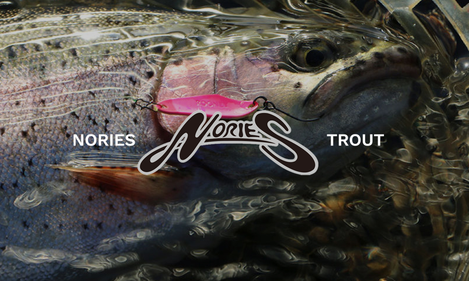 TROUT ZX | PRODUCTS | trout nories