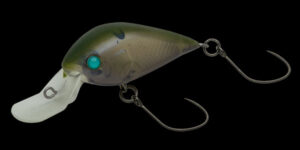 NEW PRODUCT MEET 29DR-SS | INFORMATION | trout nories